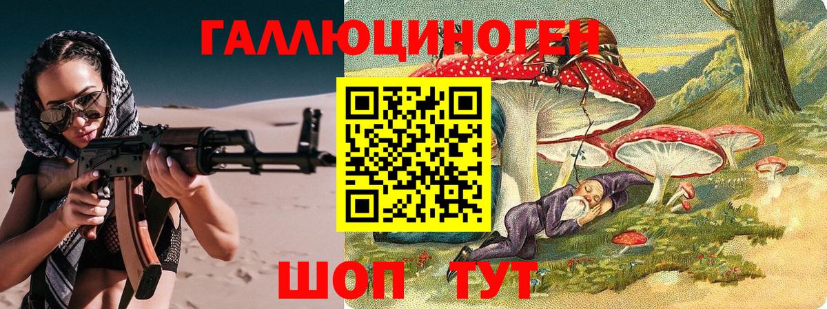 цены наркотик  Вход с VPN  Городец  Псилоцибиновые грибы Psilocybe 
