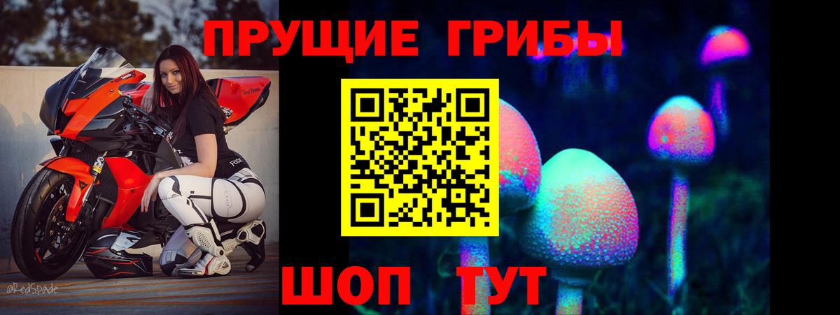 Галлюциногенные грибы мицелий Городец